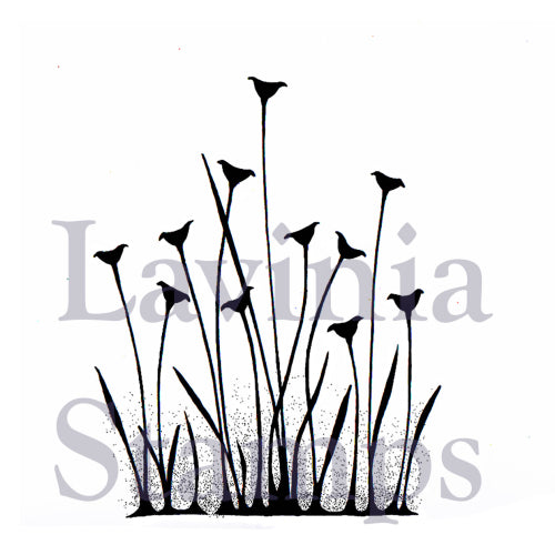 Lavinia - Fairy Buttercups - Clear Polymer Stamp