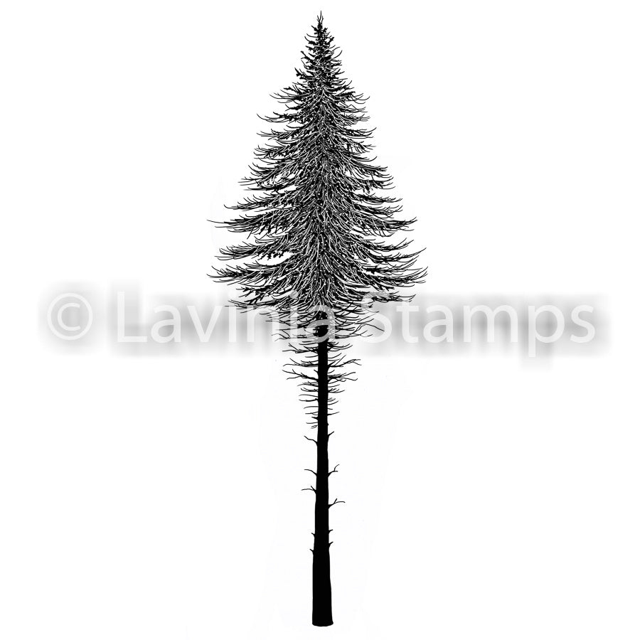 Lavinia - Fairy Fir Tree 2 (large) - Clear Polymer Stamp - LAV 477