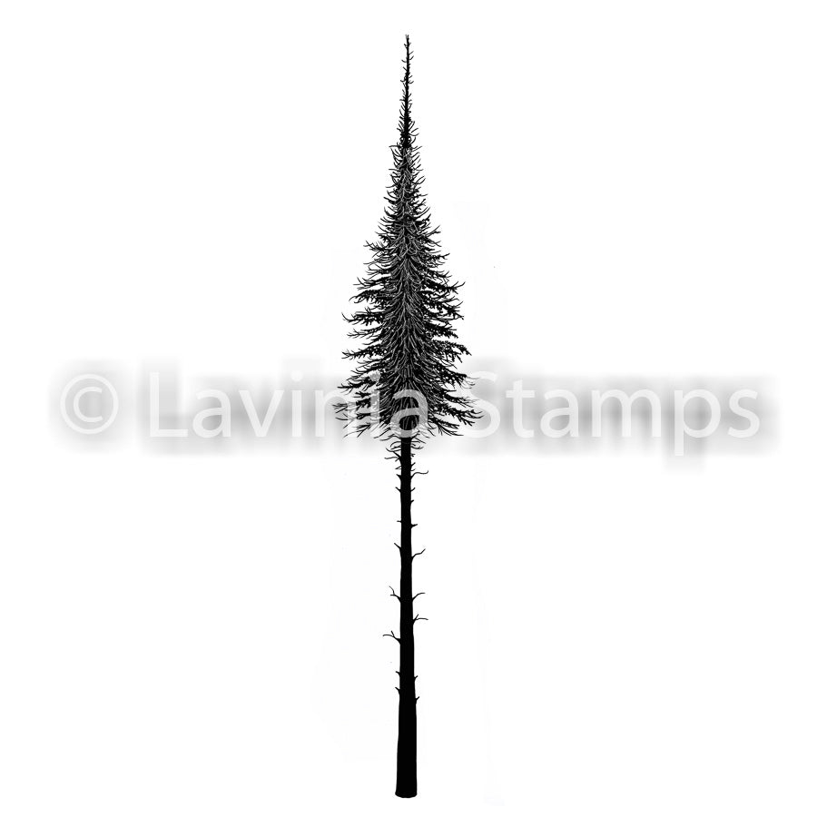 Lavinia - Fairy Fir Tree (large) - Clear Polymer Stamp