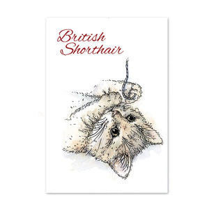 For the Love of Stamps - Cat - British Shorthair