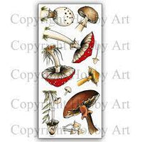 Hobby Art Stamps - Clear Polymer Stamp Set - Fungi