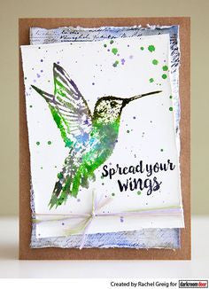 Darkroom Door - Rubber Stamp Set - Hummingbirds