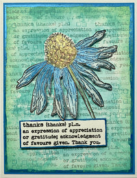 IndigoBlu - Cling Mounted Stamp - A6 - Colour Me Conehead Daisy - Janine Gerard-Shaw