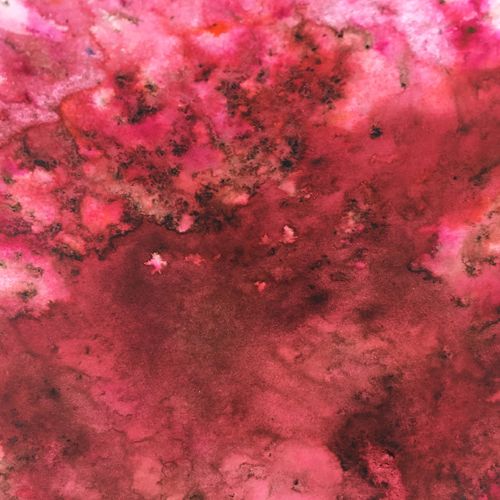 PaperArtsy - Infusions Dye - Frankly Scarlet
