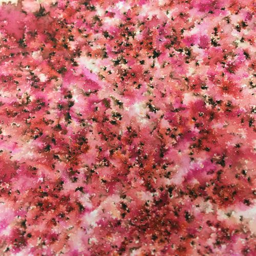 PaperArtsy - Infusions Dye - Frankly Scarlet