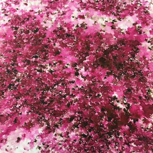 PaperArtsy - Infusions Dye - Magenta
