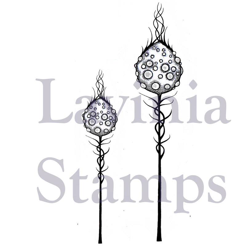 Lavinia - Moon Pods - Clear Polymer Stamp