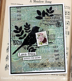 PaperArtsy - Sara Naumann 34 - Rubber Cling Mounted Stamp Set