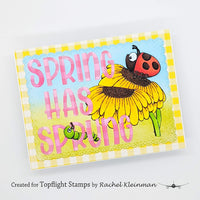 Craft Emotions - A6 - Clear Polymer Stamps - Carla Creaties - Bugs 1