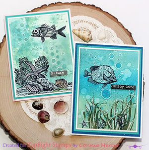 PaperArtsy - Scrapcosy 10 - Rubber Cling Mounted Stamp Set
