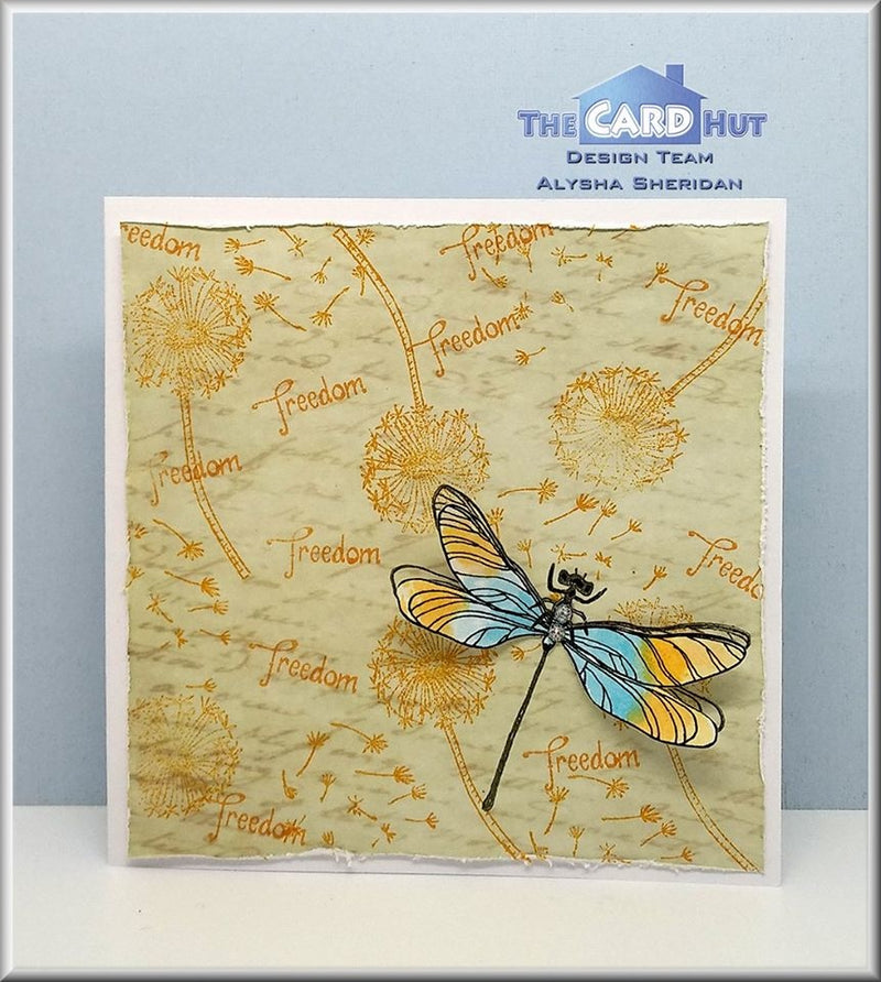 The Card Hut - A5 - A Splash of Summer - Garden Splash - Sophie Spencer-Beeley