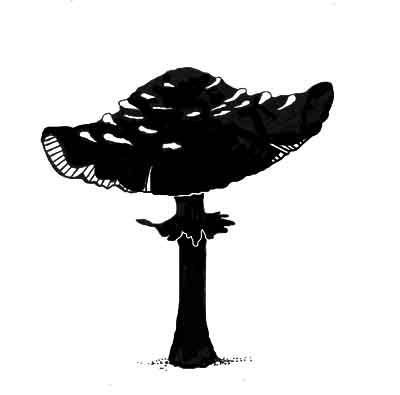 Lavinia - Toadstool - Clear Polymer Stamp